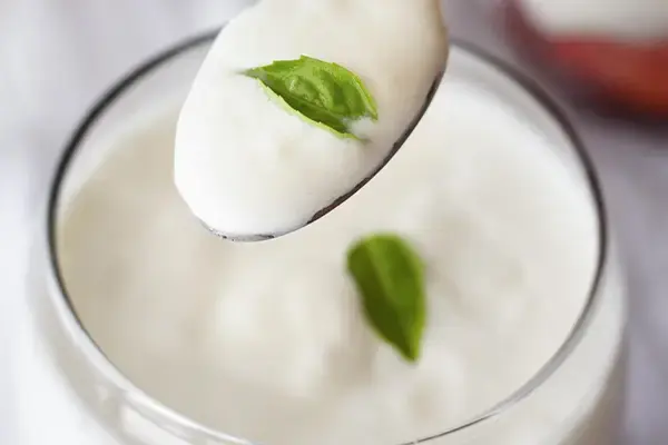 Panna Cotta à la mozzarella